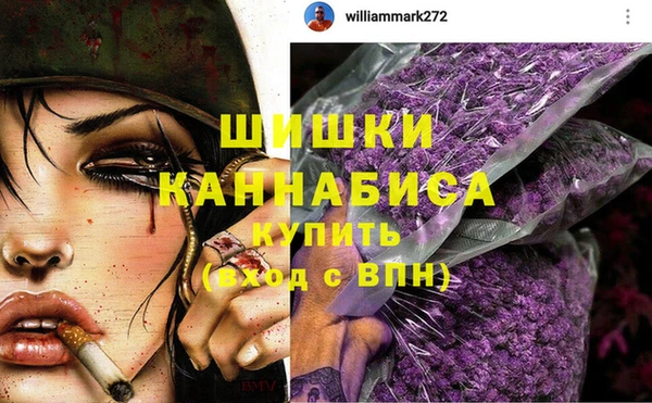 стафф Бронницы