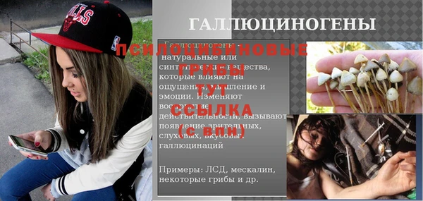 стаф Волосово