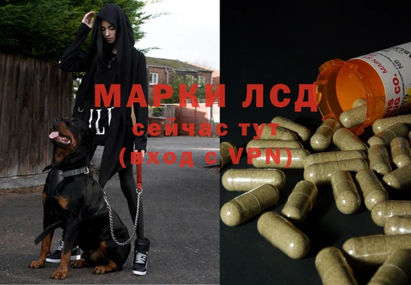 бошки Володарск